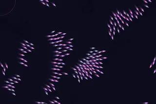 aion-labs/aion-2.0
