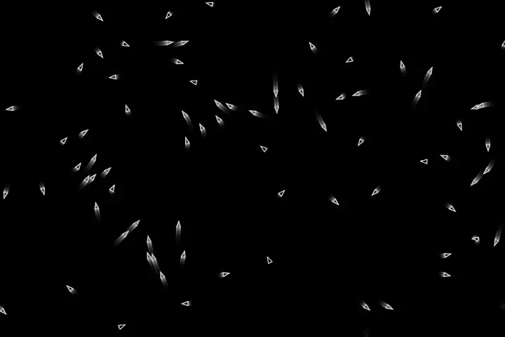 gemini-3.1-flash-lite-preview