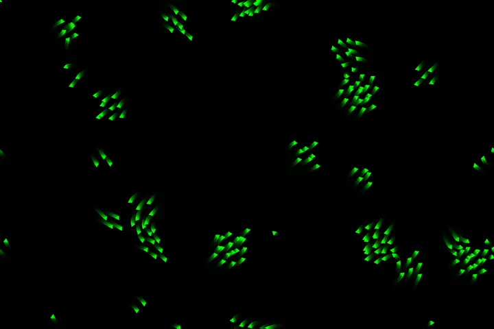 qwen3-30b-a3b
