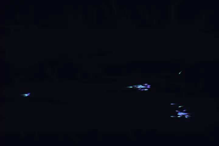 qwen3.6-flash