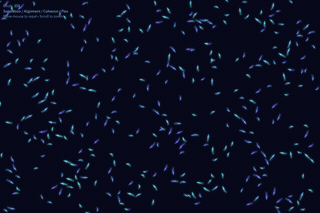 qwen/qwen3.6-flash