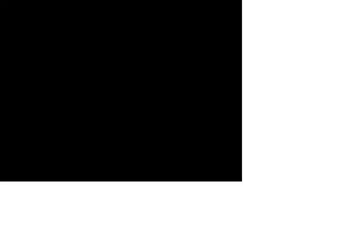 gpt-4o-mini