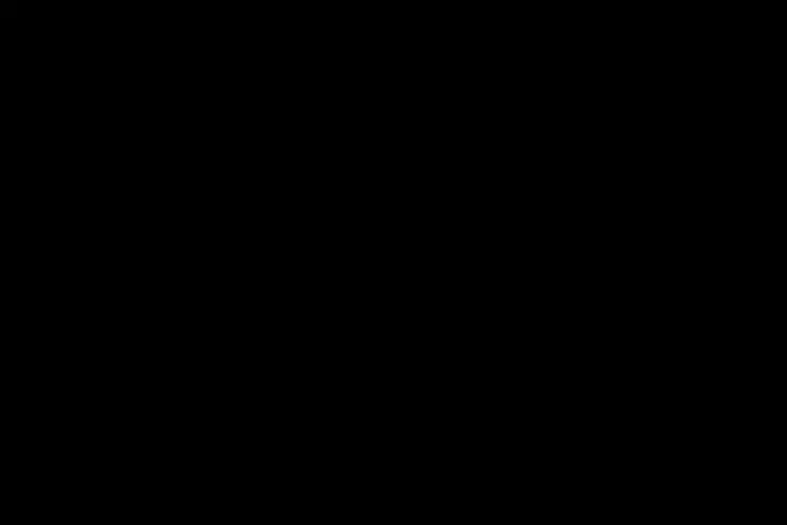 mistral-nemo